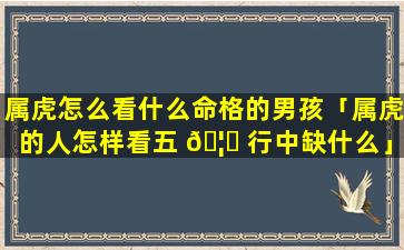 属虎怎么看什么命格的男孩「属虎的人怎样看五 🦄 行中缺什么」